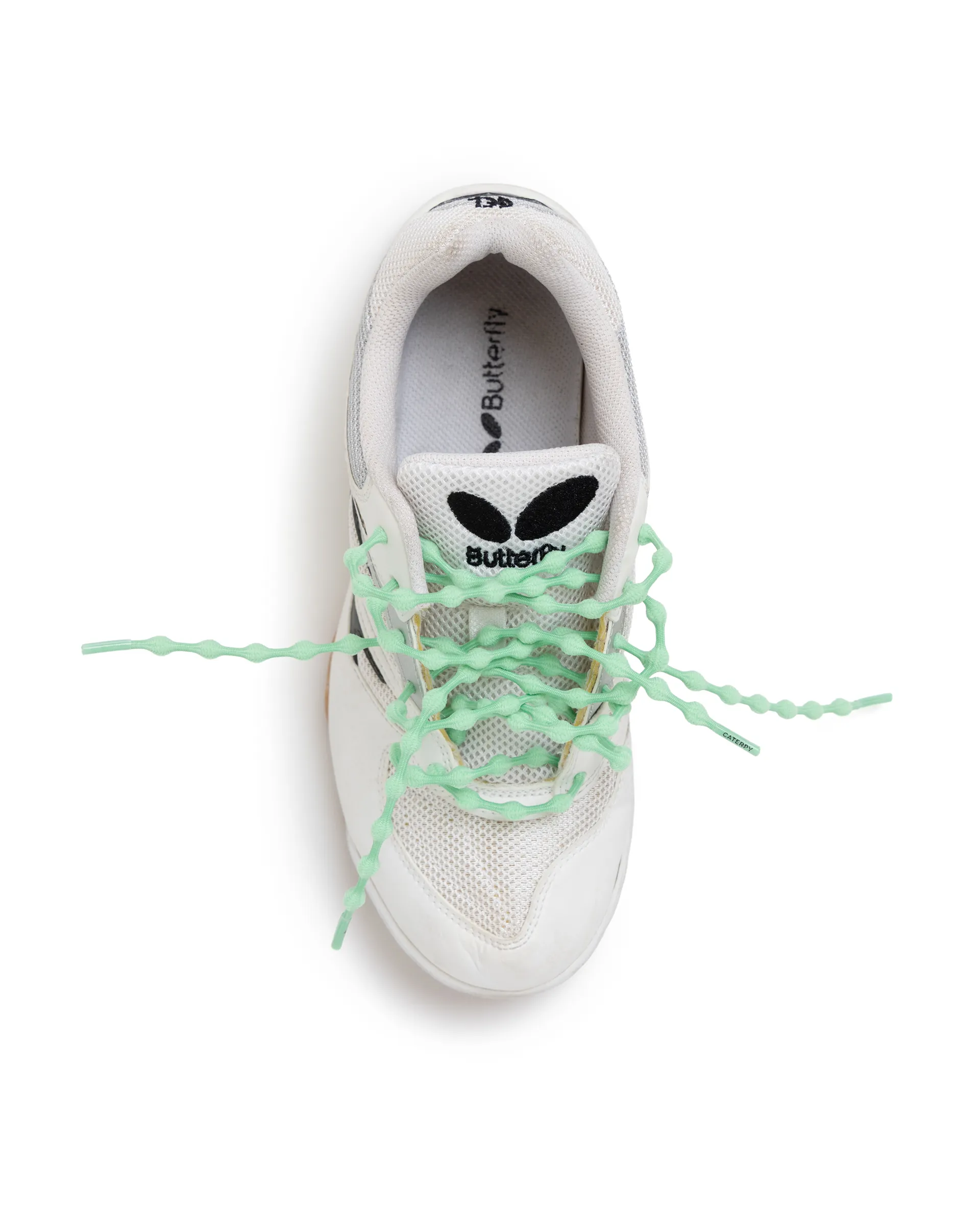 LTTT - CATERPY LACES - image 2