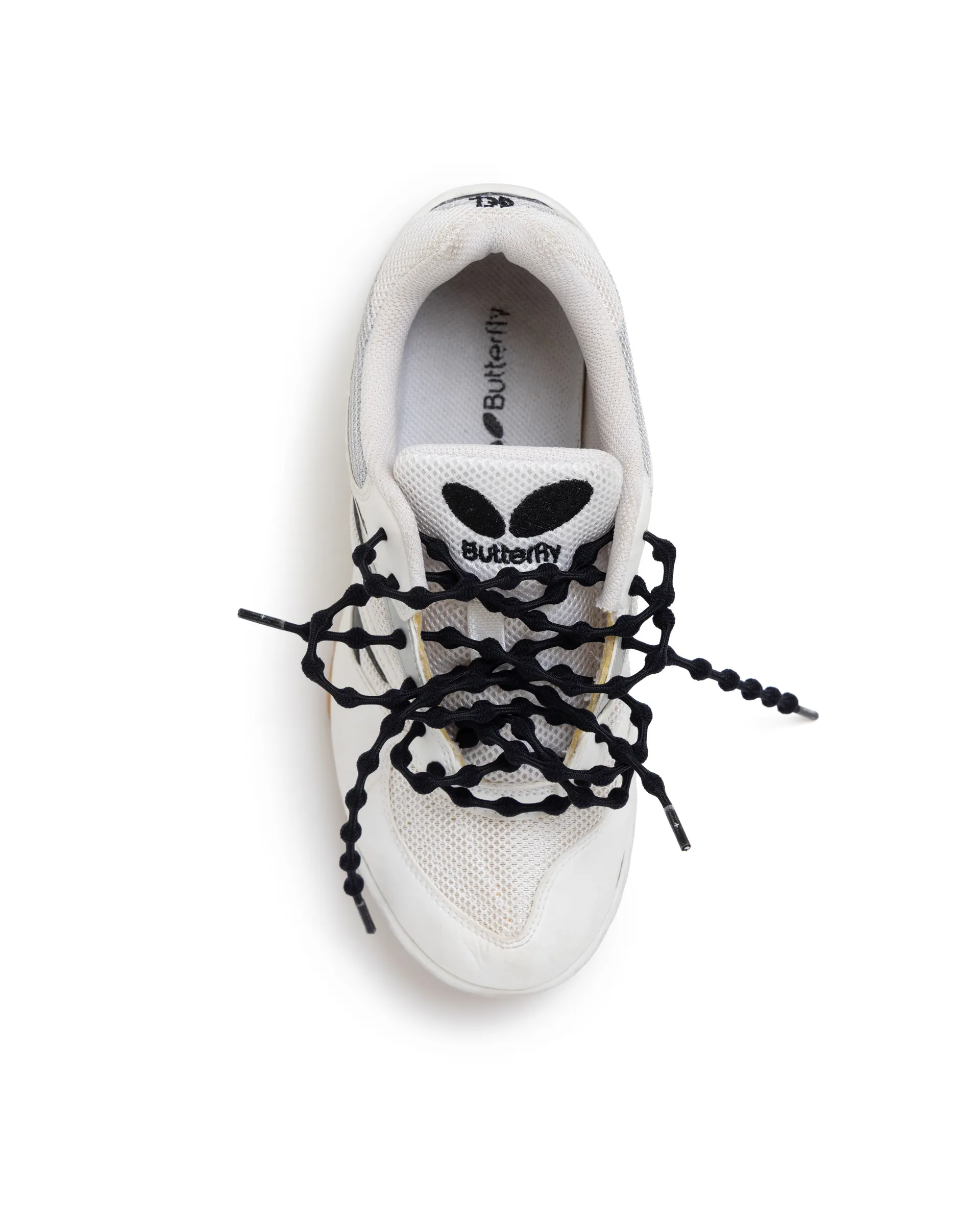 LTTT - CATERPY LACES - image 2
